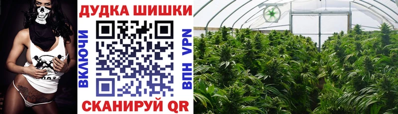 дарнет шоп  Фатеж  Марихуана гибрид 